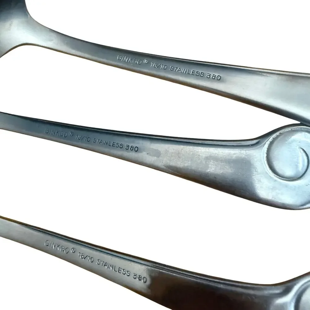 Ginkgo 18/10 stainless 380 nautilus design six piece spoon set